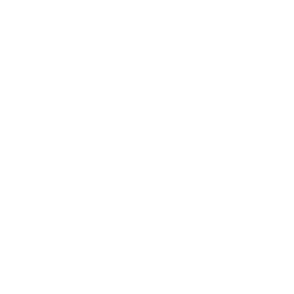 Disgraced Military General