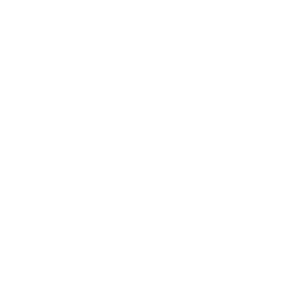 Obsessive Fan