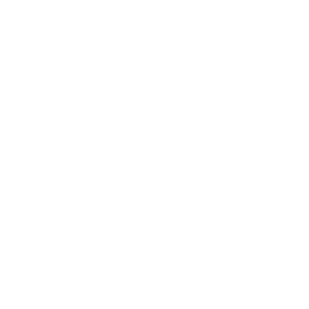 Undercover Mission