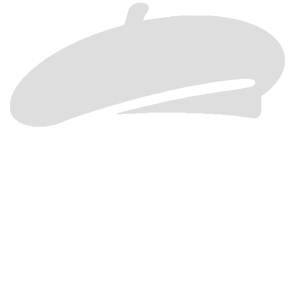 Film Director