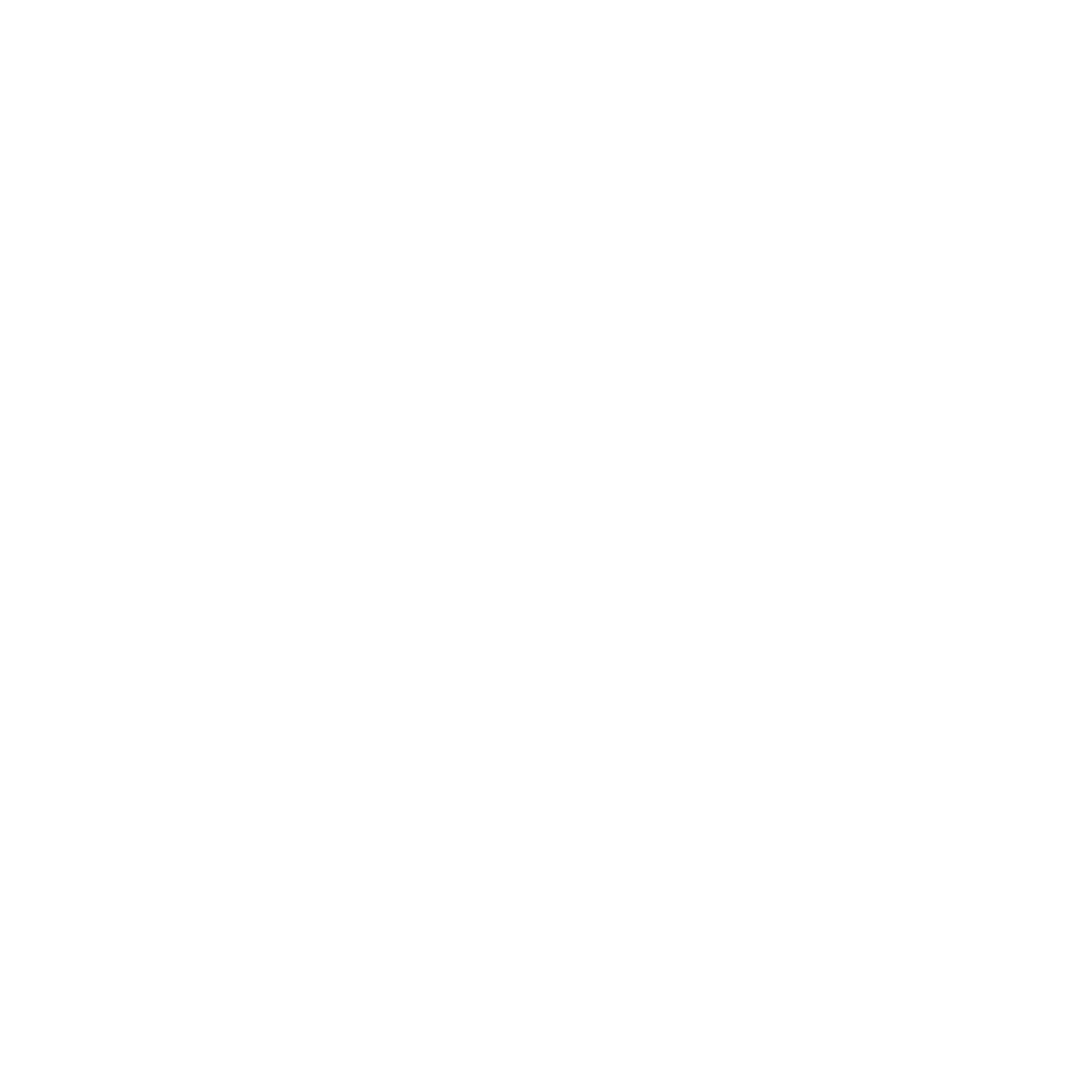 Wise Elder