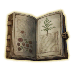 Voynich Manuscript