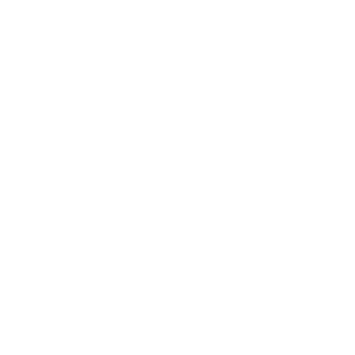 Ocean Liner