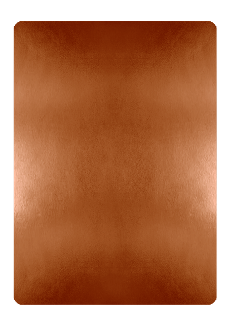 Bronze Edition